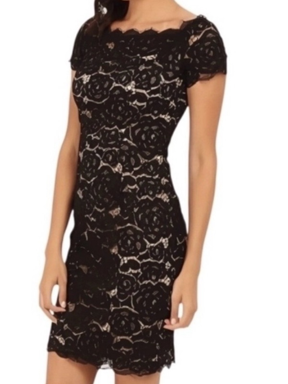 ADRIANNA PAPELL NAVY AND NUDE LACE DRESS